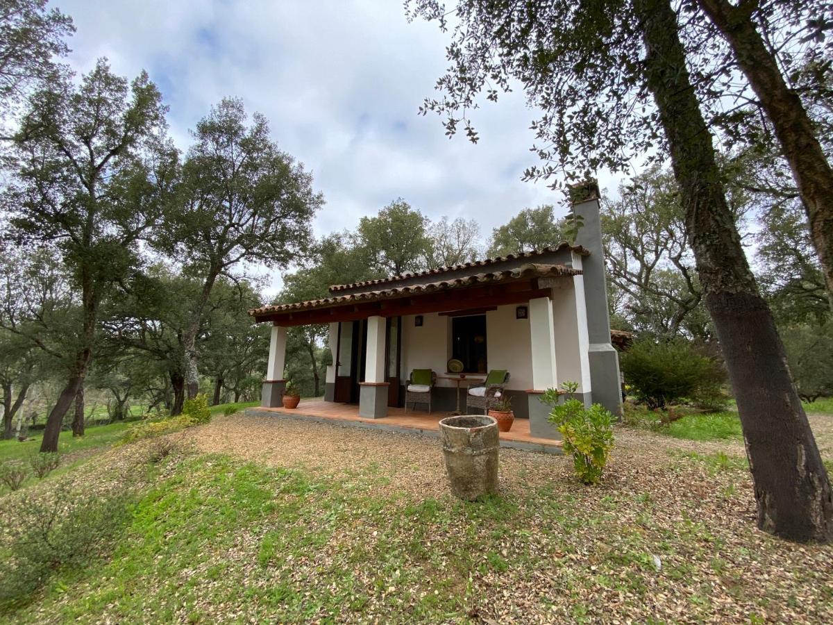 Valle Del Arroyo Casas Rurales - B&B - Solo Adultos Cortelazor Kültér fotó