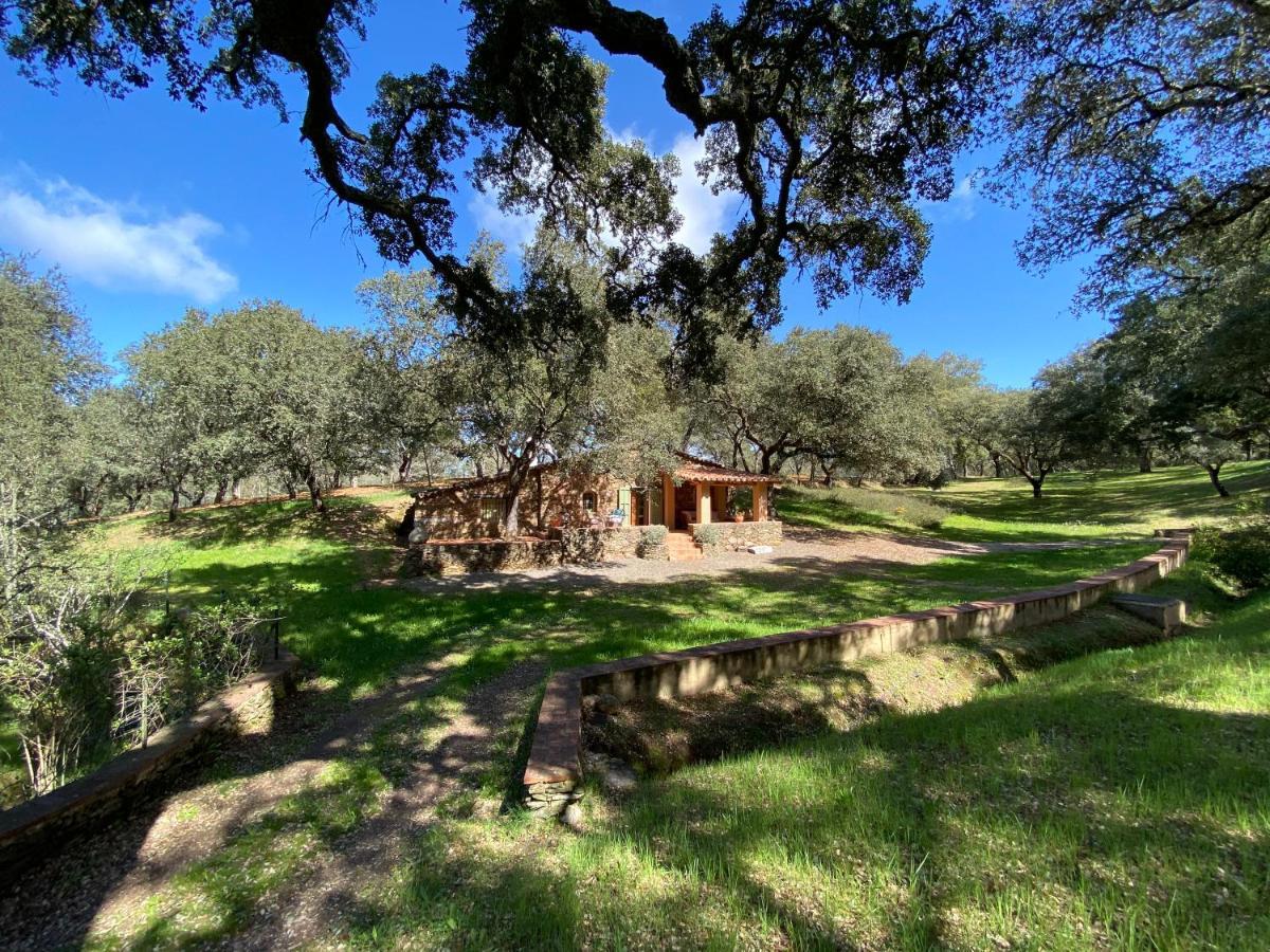 Valle Del Arroyo Casas Rurales - B&B - Solo Adultos Cortelazor Kültér fotó
