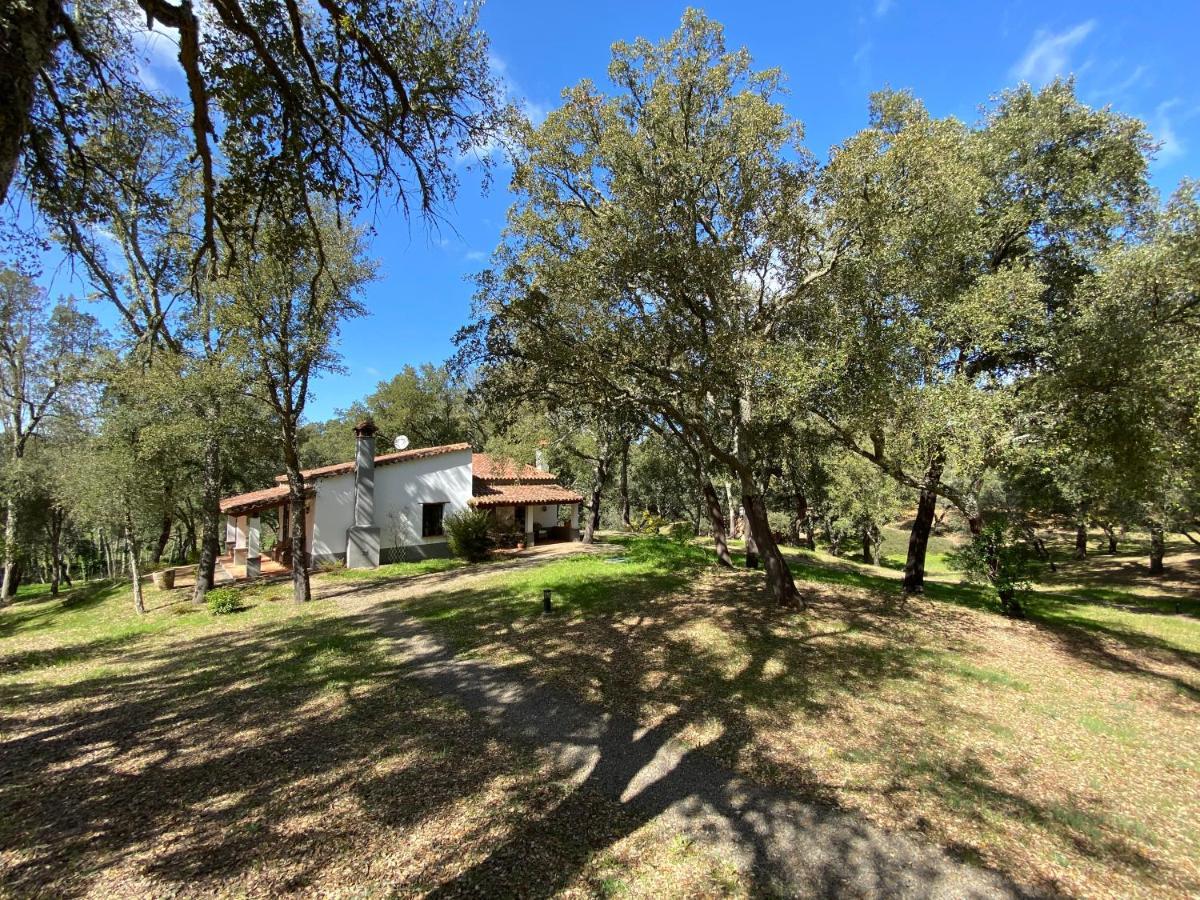Valle Del Arroyo Casas Rurales - B&B - Solo Adultos Cortelazor Kültér fotó