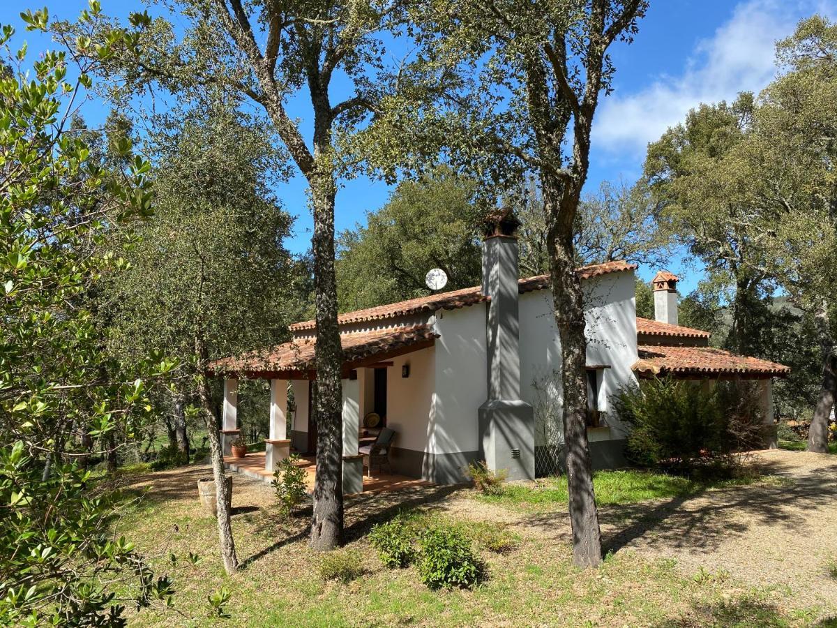 Valle Del Arroyo Casas Rurales - B&B - Solo Adultos Cortelazor Kültér fotó