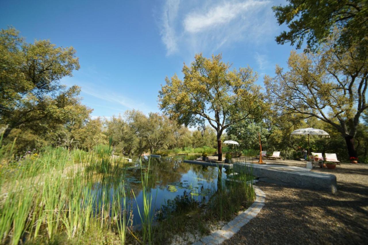 Valle Del Arroyo Casas Rurales - B&B - Solo Adultos Cortelazor Kültér fotó